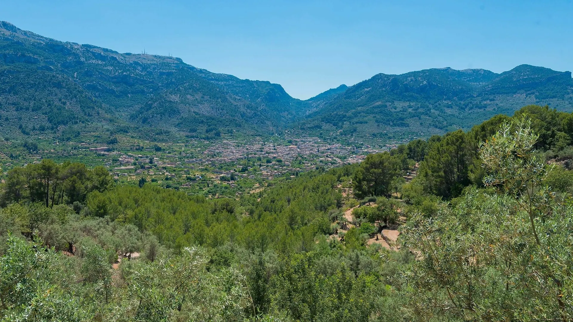 Son Bou Villa Soller Spain